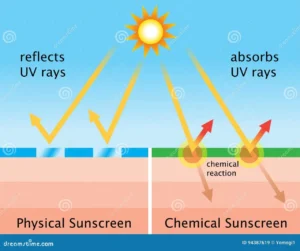 diagram of chemical and physical sunscreen