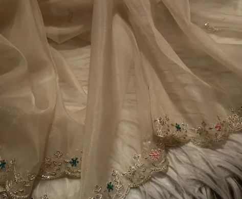 Organza saree Organza saree